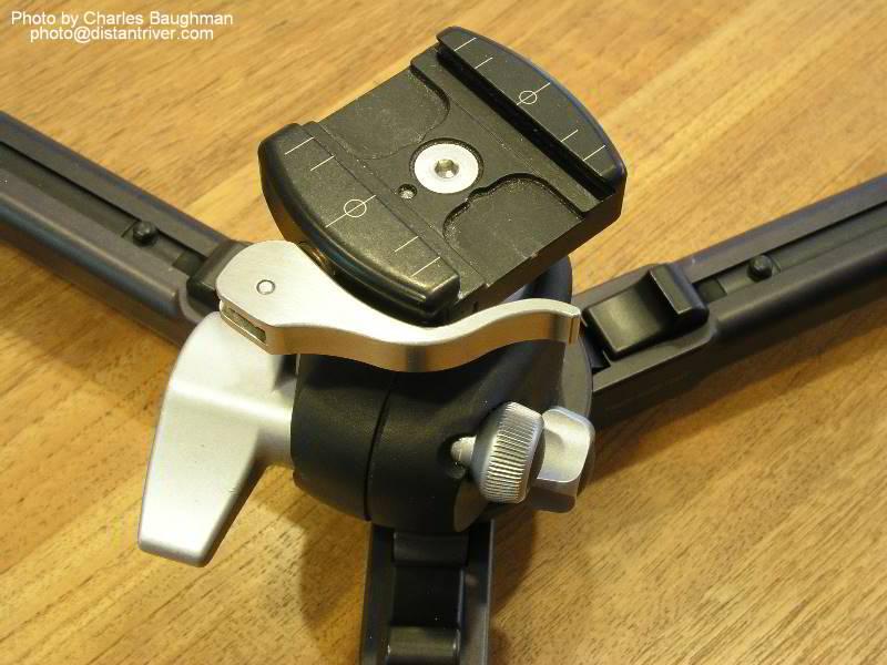 P1010040.JPG - Really Right Stuff ball head on the ground pod