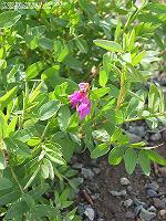 IMG_1042
