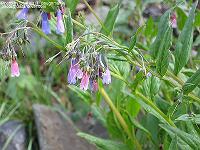 IMG_1053