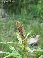 IMG_1056