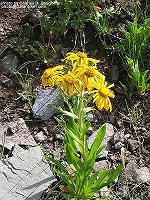 IMG_1064