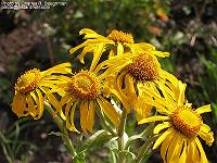 IMG_1065