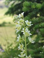 IMG_1067