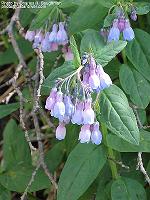 IMG_1080 