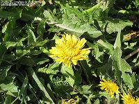 IMG_1097