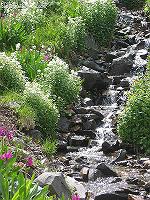 IMG_1117