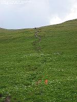 IMG_1127