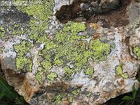 IMG_1128