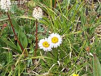 IMG_1130