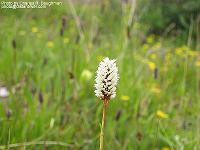 IMG_1169