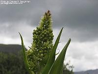 IMG_1173