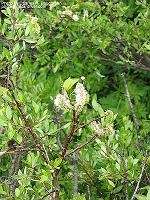 IMG_1176