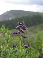 IMG_1180