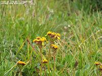 IMG_1189 