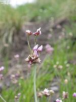 IMG_1190 