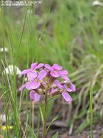 IMG_1191 