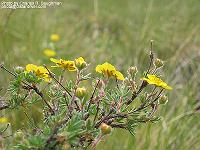 IMG_1211 