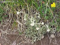 IMG_1220