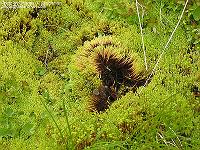 IMG_1225 