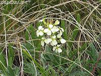 IMG_1228 