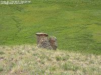 IMG_1234 