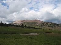 IMG_1237 