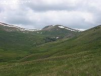 IMG_1249