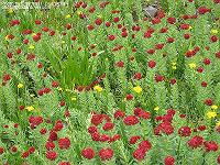 IMG_1250