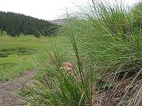 IMG_1251