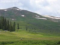 IMG_1254 