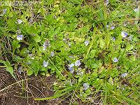 IMG_1256 