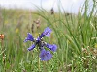 IMG_1268 