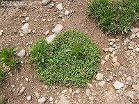 IMG_1269 