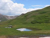 IMG_1271 