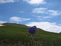 IMG_1274
