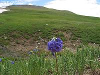 IMG_1275