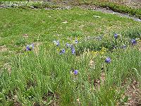 IMG_1276