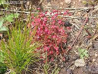 IMG_1288