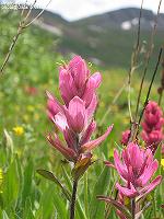 IMG_1296