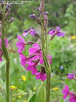 IMG_1304
