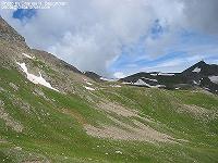 IMG_1347 