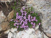 IMG_1349 