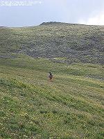 IMG_1354 