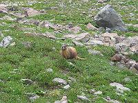 IMG_1418 