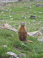 IMG_1420 