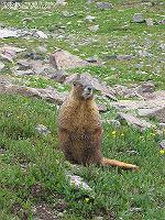 IMG_1421 
