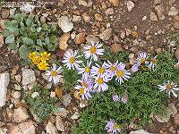 IMG_1433