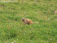 IMG_1442 