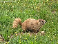 IMG_1444 