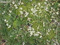 IMG_1454